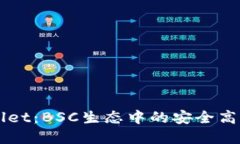 探索tpWallet：BSC生态中的安