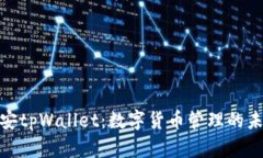 探索币安tpWallet：数字货币管理的未来之路