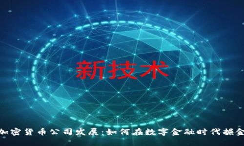 加密货币公司发展：如何在数字金融时代掘金