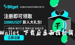 解决 tpWallet 下载后桌面图