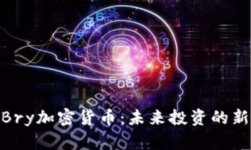 探索Bry加密货币：未来投资的新机会