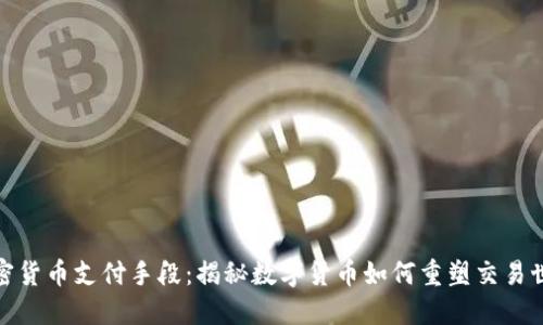 加密货币支付手段：揭秘数字货币如何重塑交易世界