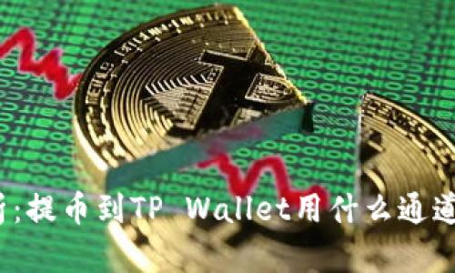全面解析：提币到TP Wallet用什么通道最安全？