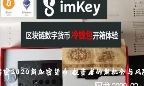 解密2020新加密货币：投资者的新机会与风险
