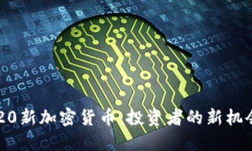解密2020新加密货币：投资者的新机会与风险