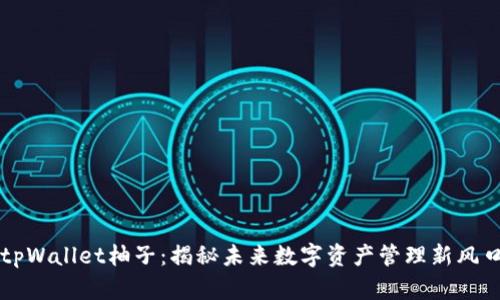 tpWallet柚子：揭秘未来数字资产管理新风口