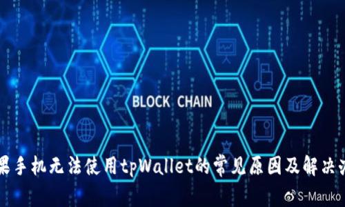 苹果手机无法使用tpWallet的常见原因及解决办法