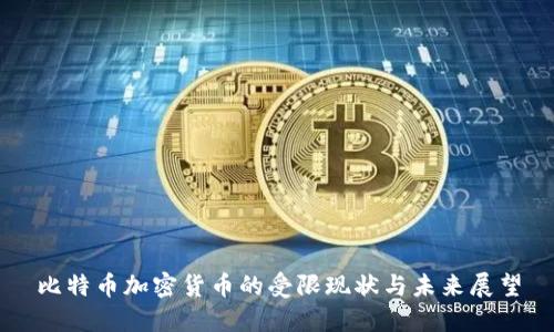 比特币加密货币的受限现状与未来展望