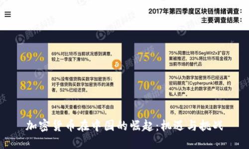 加密货币在中国的崛起：机遇与挑战