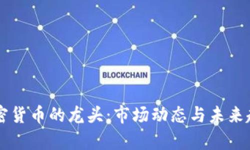国内加密货币的龙头：市场动态与未来趋势分析