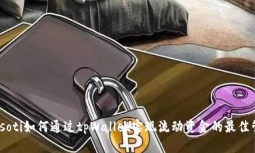 biasoti如何通过tpWallet实现流动资金的最佳管理