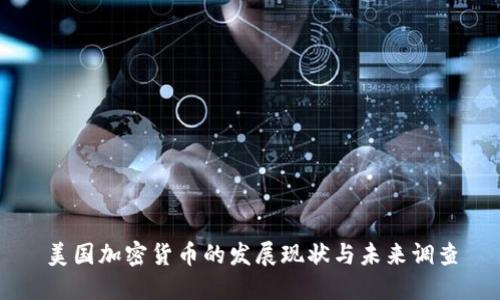 美国加密货币的发展现状与未来调查