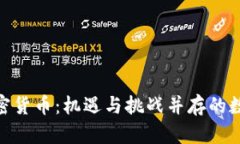 探秘捷克加密货币：机遇