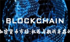 俄罗斯加密货币市场：机