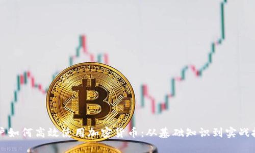 用户如何高效使用加密货币：从基础知识到实战技巧