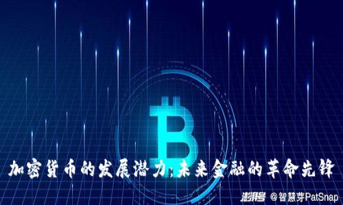 加密货币的发展潜力：未来金融的革命先锋
