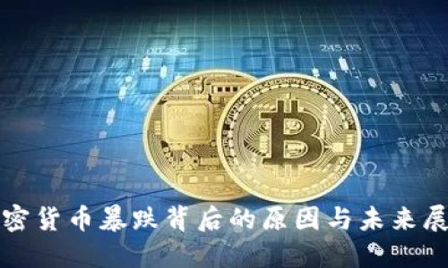 加密货币暴跌背后的原因与未来展望