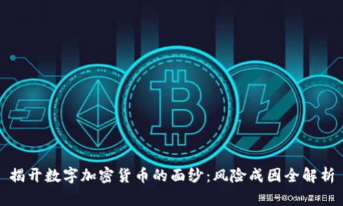 揭开数字加密货币的面纱：风险成因全解析