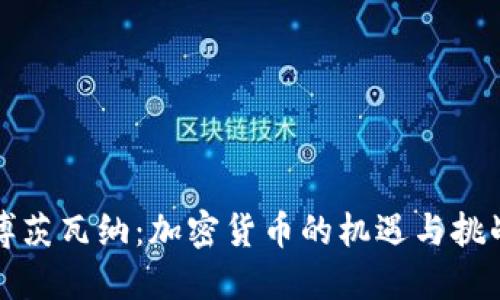 博茨瓦纳：加密货币的机遇与挑战