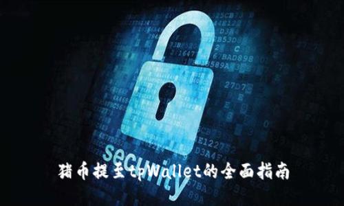 猪币提至tpWallet的全面指南