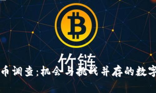 南非加密货币调查：机会与挑战并存的数字金融新领域