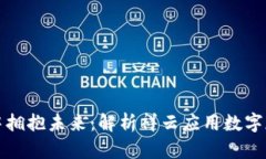 : 在数字经济浪潮中拥抱未