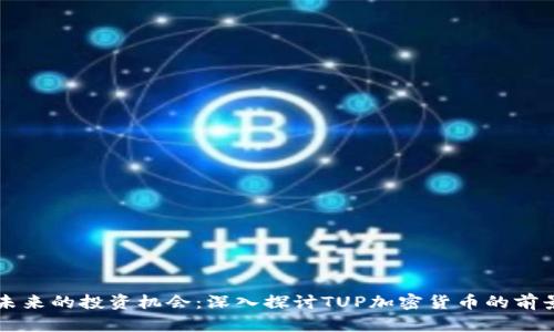 未来的投资机会：深入探讨TUP加密货币的前景