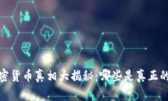 2023年加密货币真相大揭秘：哪些是真正的投资机