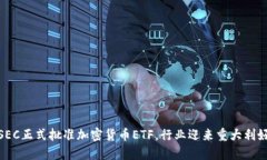 SEC正式批准加密货币ETF，行业迎来重大利好