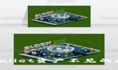 如何解决tpWallet资产不见的问题：全面指南