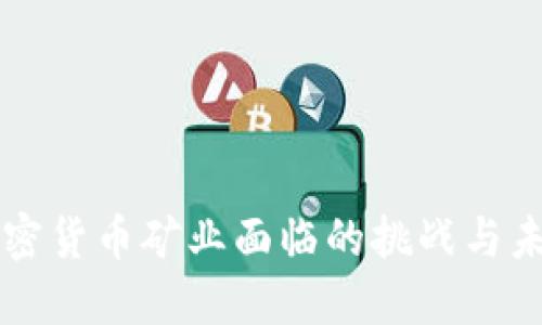 应对加密货币矿业面临的挑战与未来展望