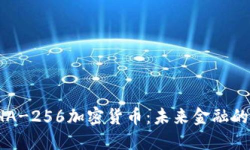 揭秘SHA-256加密货币：未来金融的护航者