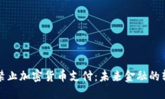  全面禁止加密货币支付：未来金融的转折点?