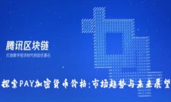 探索PAY加密货币价格：市场趋势与未来展望