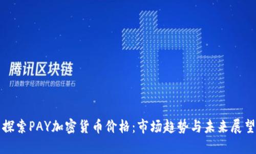 探索PAY加密货币价格：市场趋势与未来展望