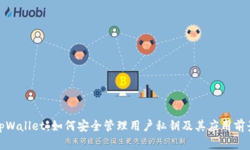 tpWallet：如何安全管理用户私钥及其应用前景