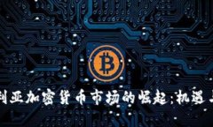 尼日利亚加密货币市场的崛起：机遇与挑战