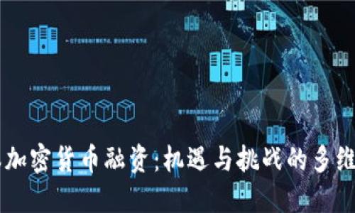 日本加密货币融资：机遇与挑战的多维探讨