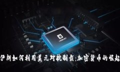 伊朗如何利用美元对抗制裁：加密货币的崛起