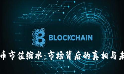 加密货币市值缩水：市场背后的真相与未来展望