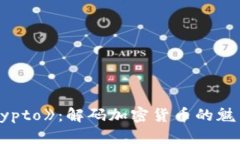 探索《Crypto》：解码加密
