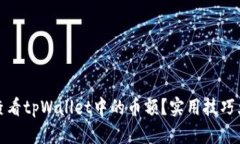 如何查看tpWallet中的币额？