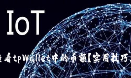 如何查看tpWallet中的币额？实用技巧大揭密