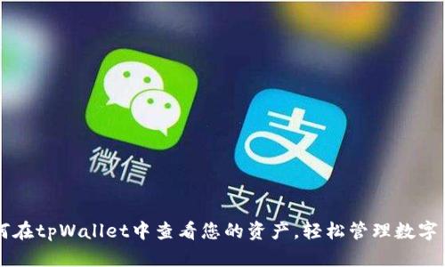 如何在tpWallet中查看您的资产，轻松管理数字货币