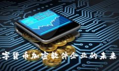 探索中国数字货币加密软件企业的未来发展与机