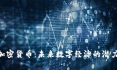 Morty加密货币：未来数字经