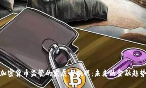 加密货币监管的发展与挑战：未来的金融趋势