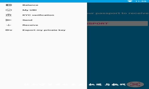 论加密货币的未来：机遇与挑战